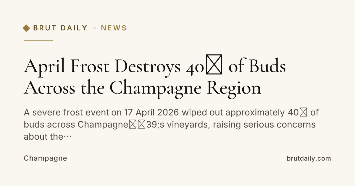 April Frost Destroys 40% of Buds Across the Champagne Region